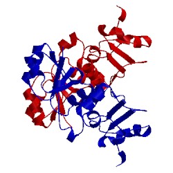 Image of CATH 2ado