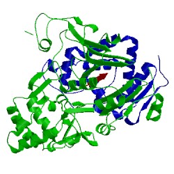 Image of CATH 2adv