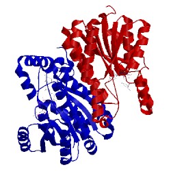 Image of CATH 2ae2