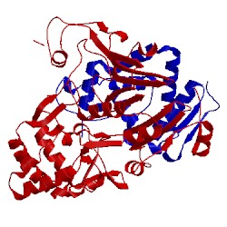 Image of CATH 2ae3