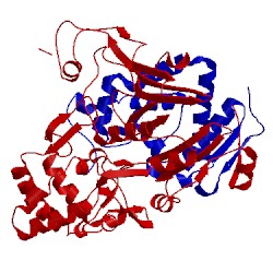 Image of CATH 2ae4