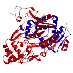 Image of CATH 2ae5