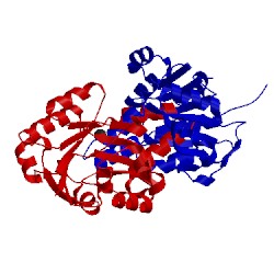 Image of CATH 2aef