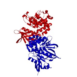 Image of CATH 2aeh
