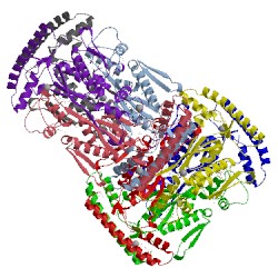 Image of CATH 2af6