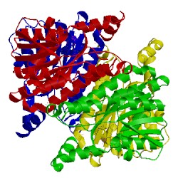 Image of CATH 2ag5