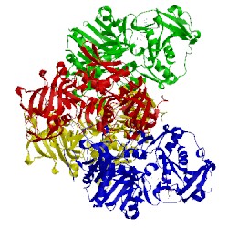 Image of CATH 2ahv