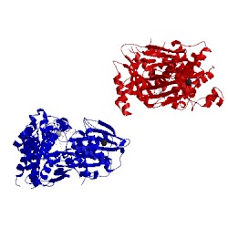 Image of CATH 2aj4