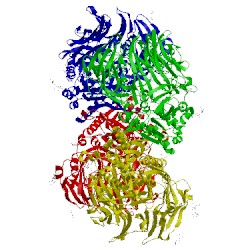 Image of CATH 2ajd