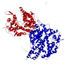 Image of CATH 2ajf