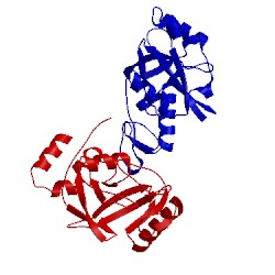 Image of CATH 2ajh