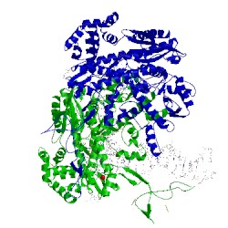 Image of CATH 2ajq