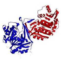 Image of CATH 2ajr