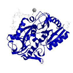 Image of CATH 2alu