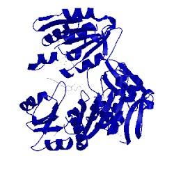 Image of CATH 2am2