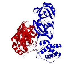 Image of CATH 2amd