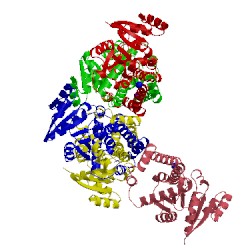 Image of CATH 2amf