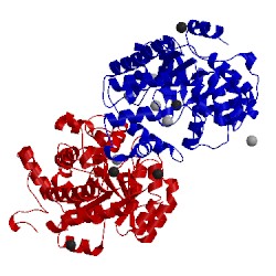 Image of CATH 2amx