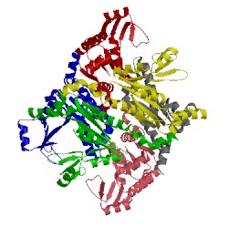 Image of CATH 2anc