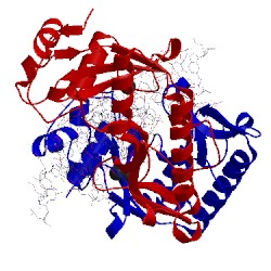 Image of CATH 2aor