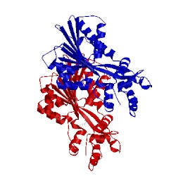 Image of CATH 2aow