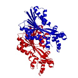 Image of CATH 2aox