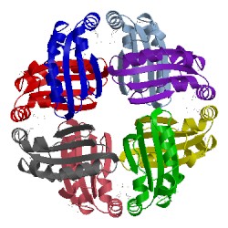 Image of CATH 2ap6