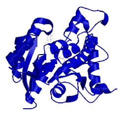 Image of CATH 2aqh