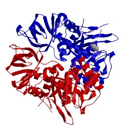 Image of CATH 2aqo