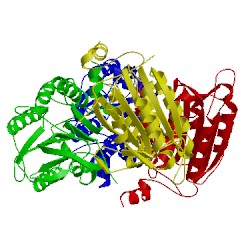 Image of CATH 2ar9