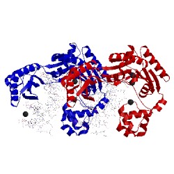 Image of CATH 2asd