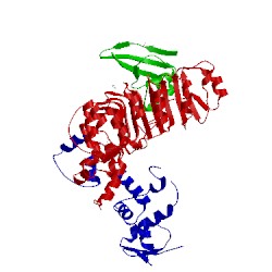 Image of CATH 2ass