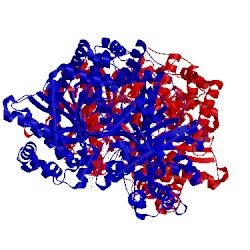 Image of CATH 2asv