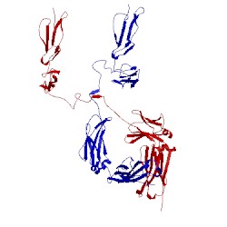 Image of CATH 2aty