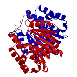 Image of CATH 2avd