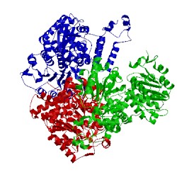 Image of CATH 2aw5