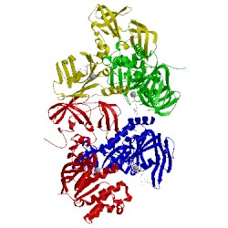 Image of CATH 2awn