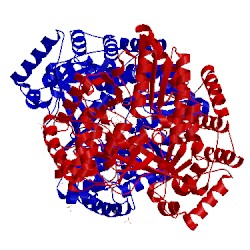 Image of CATH 2ax1