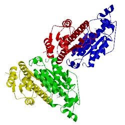 Image of CATH 2ax4