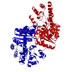 Image of CATH 2ay2