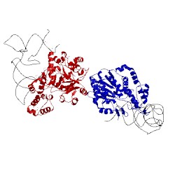 Image of CATH 2azx