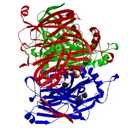 Image of CATH 2b08