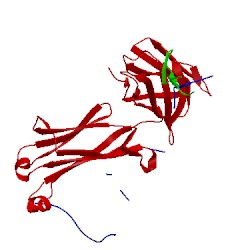 Image of CATH 2b1h