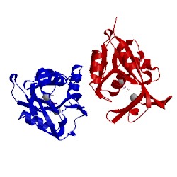 Image of CATH 2b2k