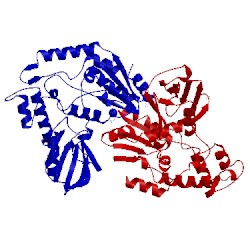 Image of CATH 2b2n