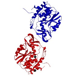 Image of CATH 2b4p