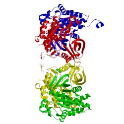 Image of CATH 2b4s