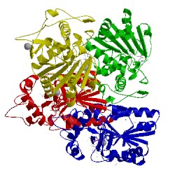 Image of CATH 2b4y