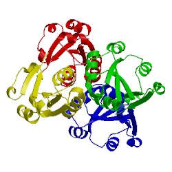 Image of CATH 2b7l