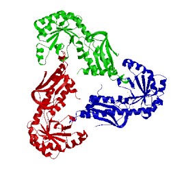 Image of CATH 2b7q